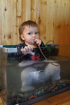 Дайвер