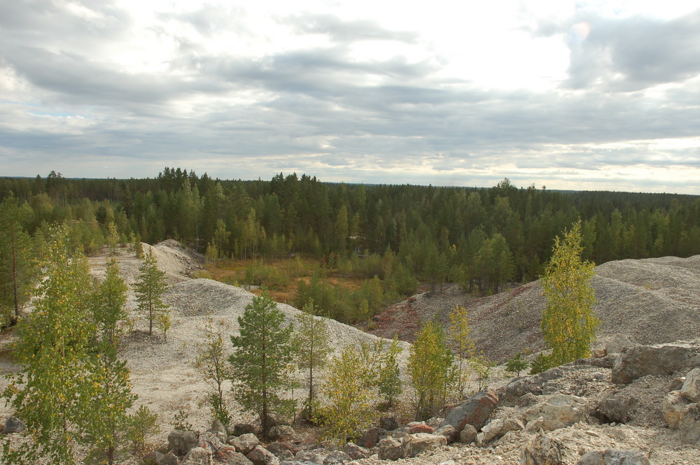 kaatiala