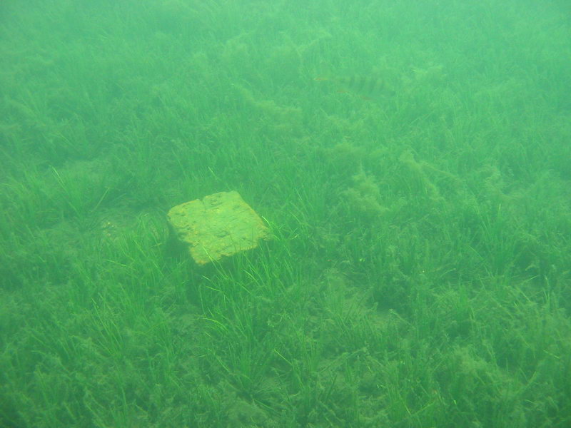 Кирпич Кирпич