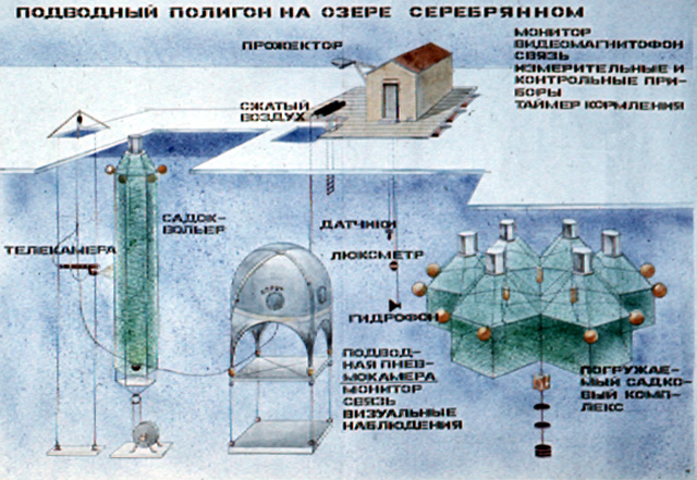 Подводный полигон на озере Серебряное (оз. Длинное)