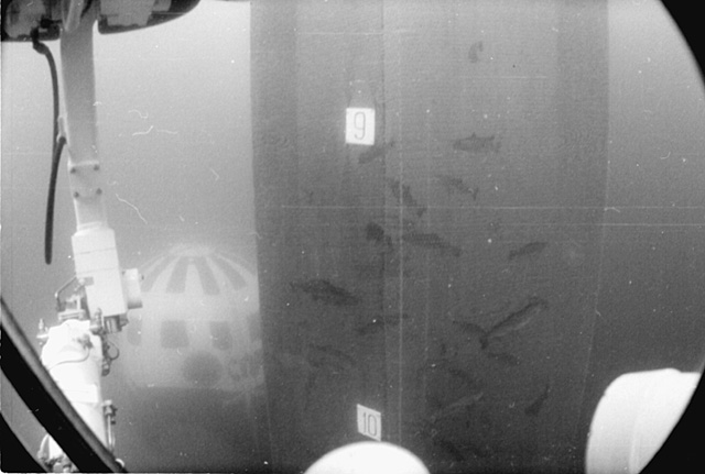 Подводная лаборатория «Спрут» и вертикальный садок-вольер для рыб