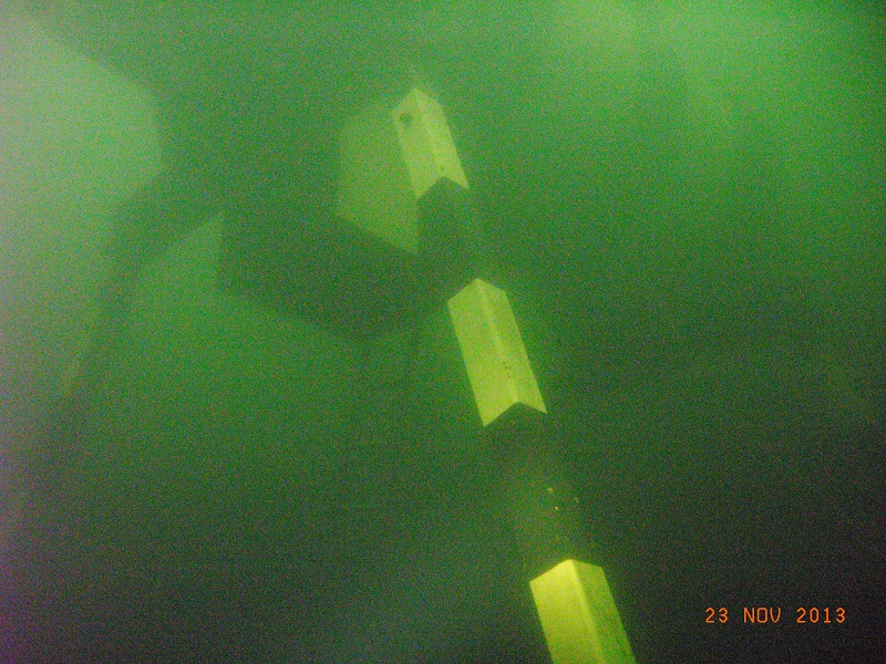 M0017982 S