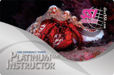 www.atrina.cc