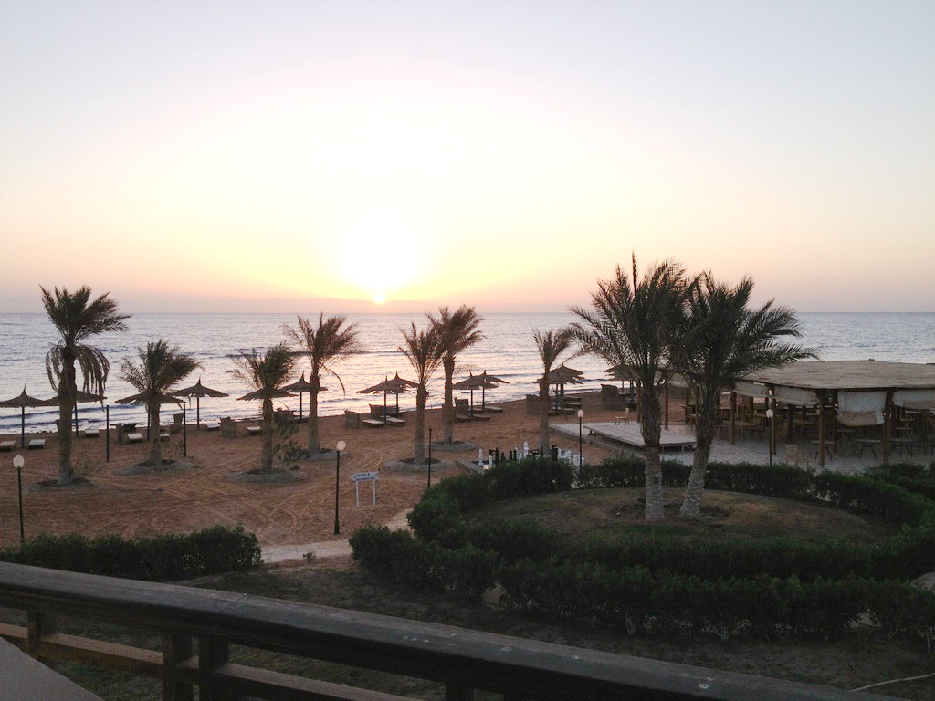 Новый Год в стране пирамид Новый Год в стране пирамид