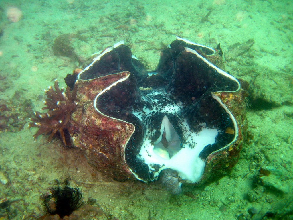 Филиппины 2014 Филиппины 2014