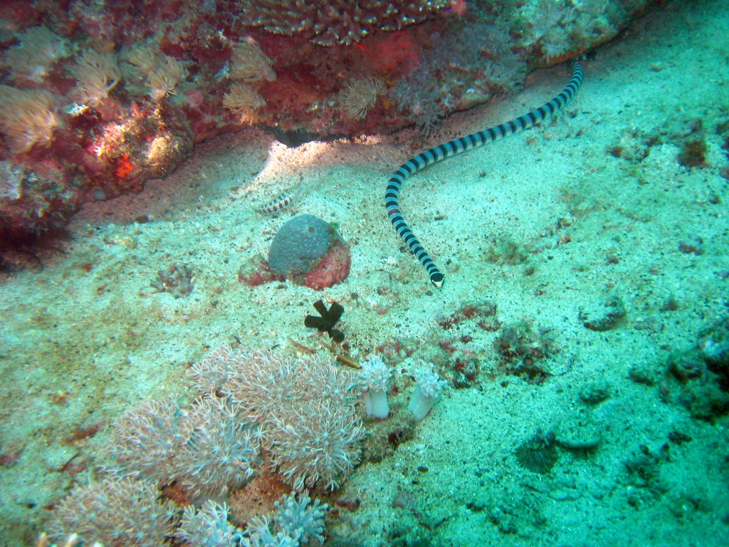 Филиппины 2014 Филиппины 2014