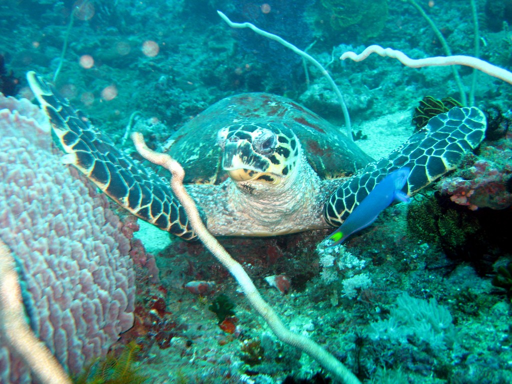 Филиппины 2014 Филиппины 2014