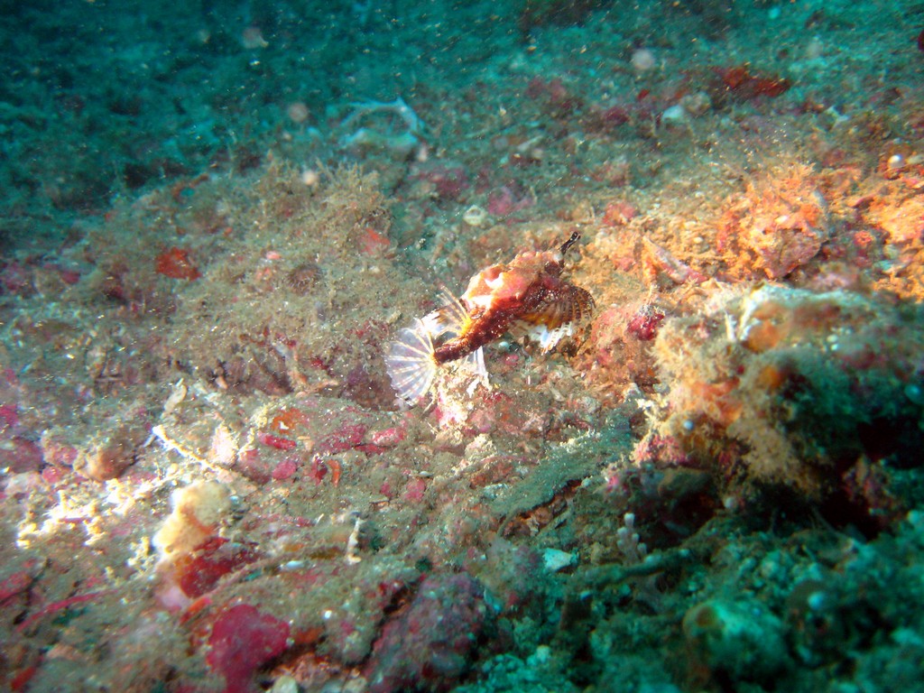 Филиппины 2014 Филиппины 2014