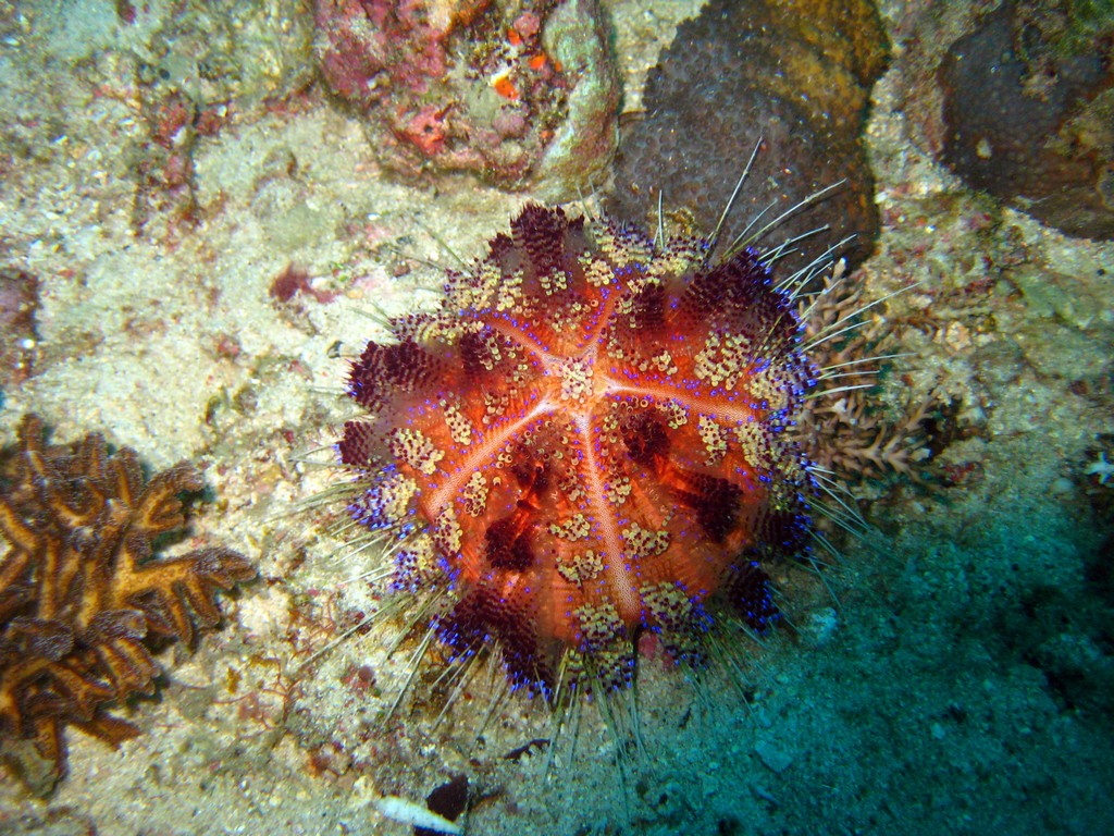 Филиппины 2014 Филиппины 2014