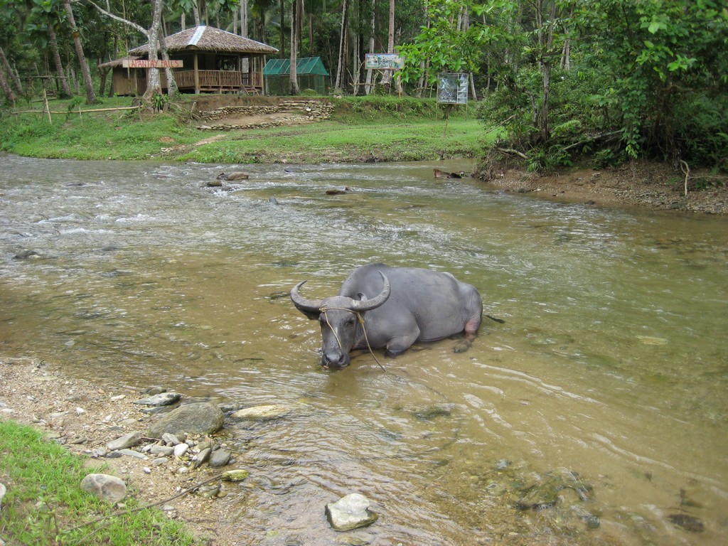 Филиппины 2014 Филиппины 2014