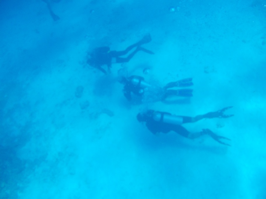 Фото дайверов с поверхности Фото дайверов с поверхности