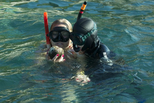 Тайланд 2014 Тайланд 2014