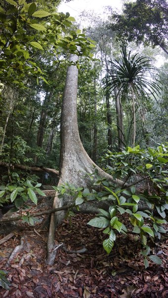 Тайланд 2014 Тайланд 2014