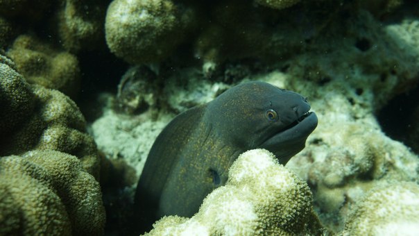 Тайланд 2014 Тайланд 2014