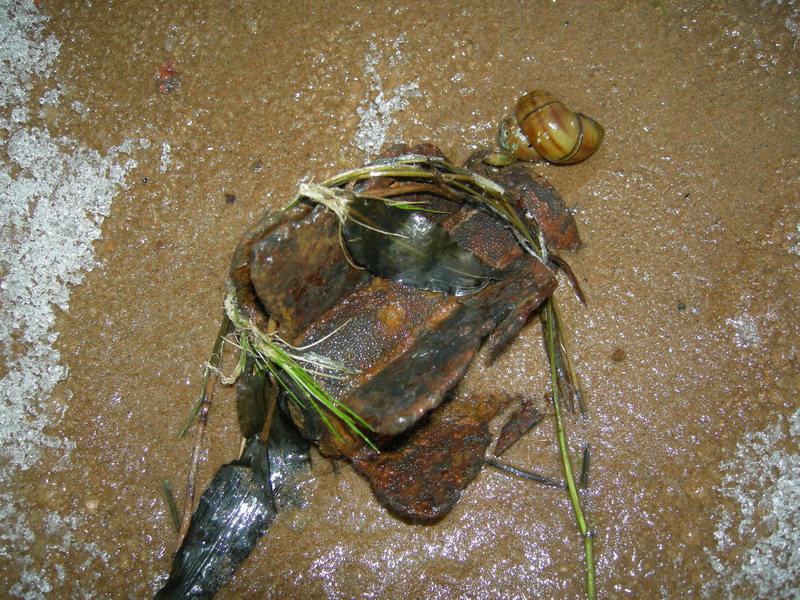 Нева.Невский пятачок (19,11,2006) Нева.Невский пятачок (19,11,2006)