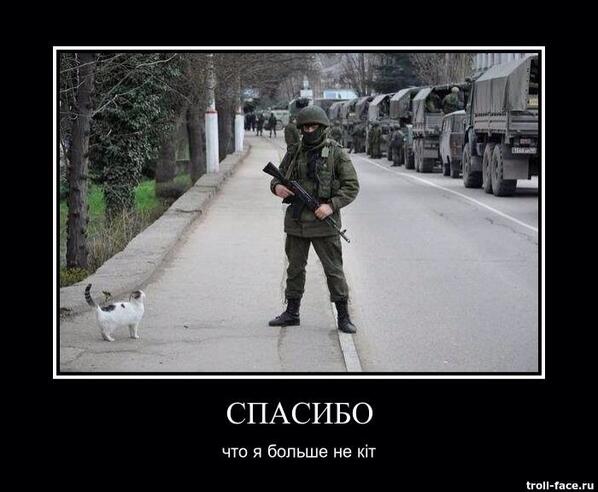 Кот