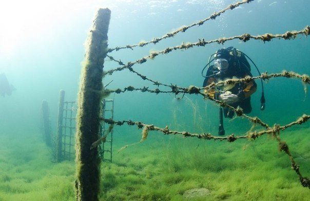 С 13-15 июня едем нырять в Эстонию ! С 13-15 июня едем нырять в Эстонию !