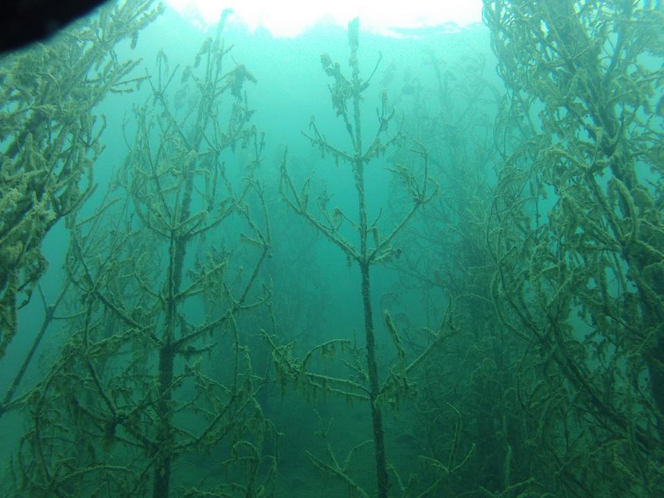 Нижний Тагил, карьер Лазурный, август 2014 Нижний Тагил, карьер Лазурный, август 2014