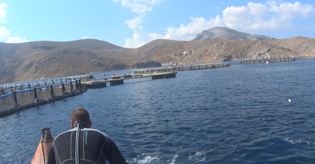 Рыбная ферма, Калимнос Рыбная ферма, Калимнос