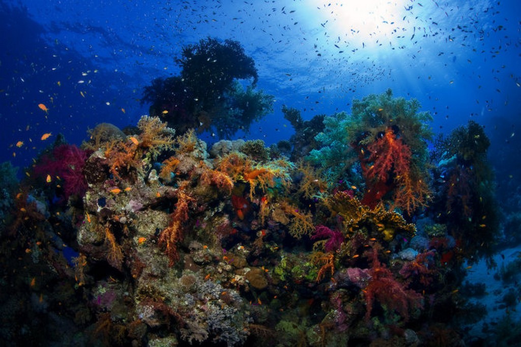 Север, январь 2015 Север, январь 2015