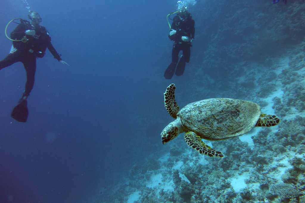Север, январь 2015 Север, январь 2015