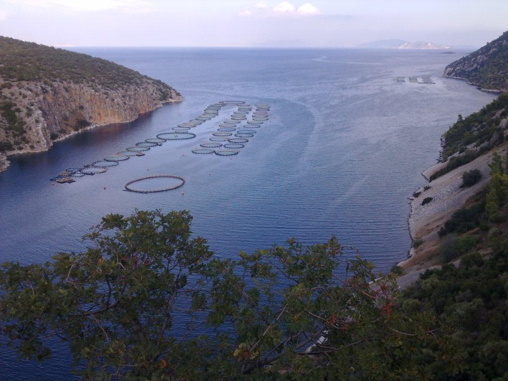 рыбоводная ферма в Греции рыбоводная ферма в Греции