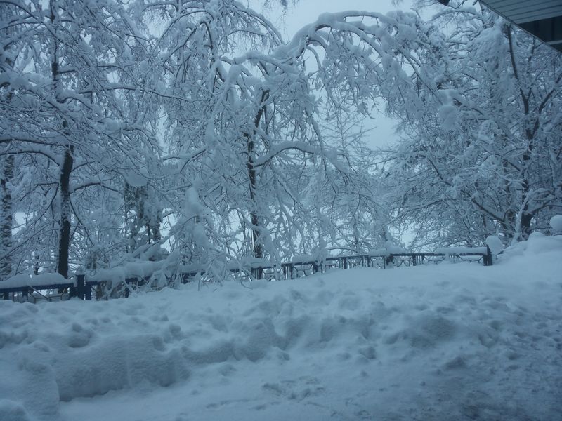 07 февраля