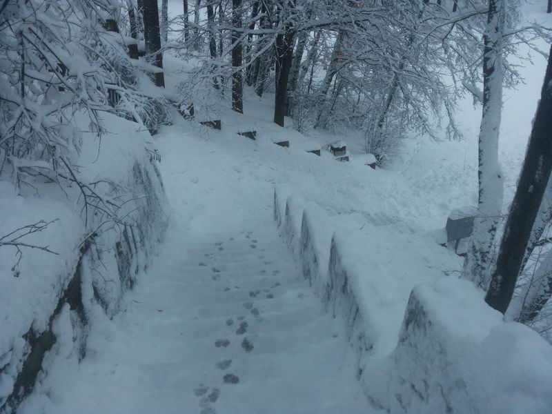 07 февраля 07 февраля