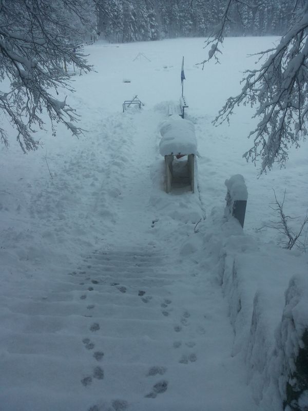 07 февраля
