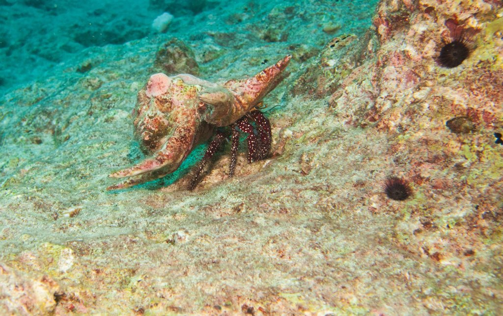 мальдивы 2015 мальдивы 2015