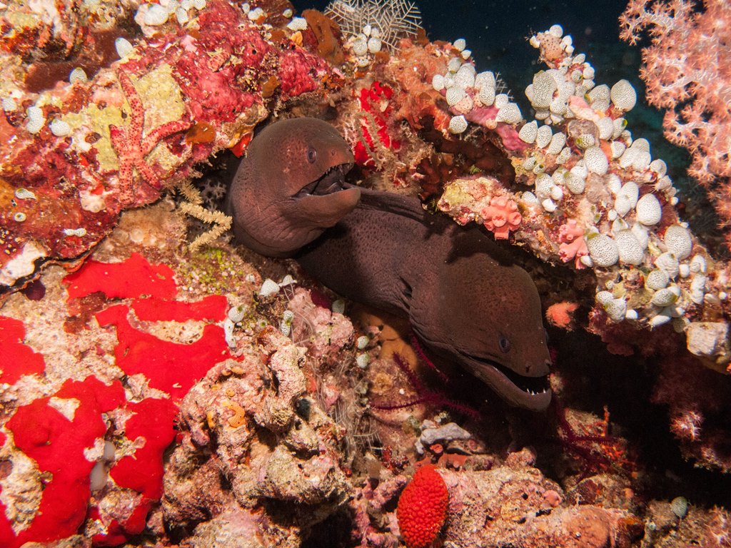 мальдивы 2015 мальдивы 2015