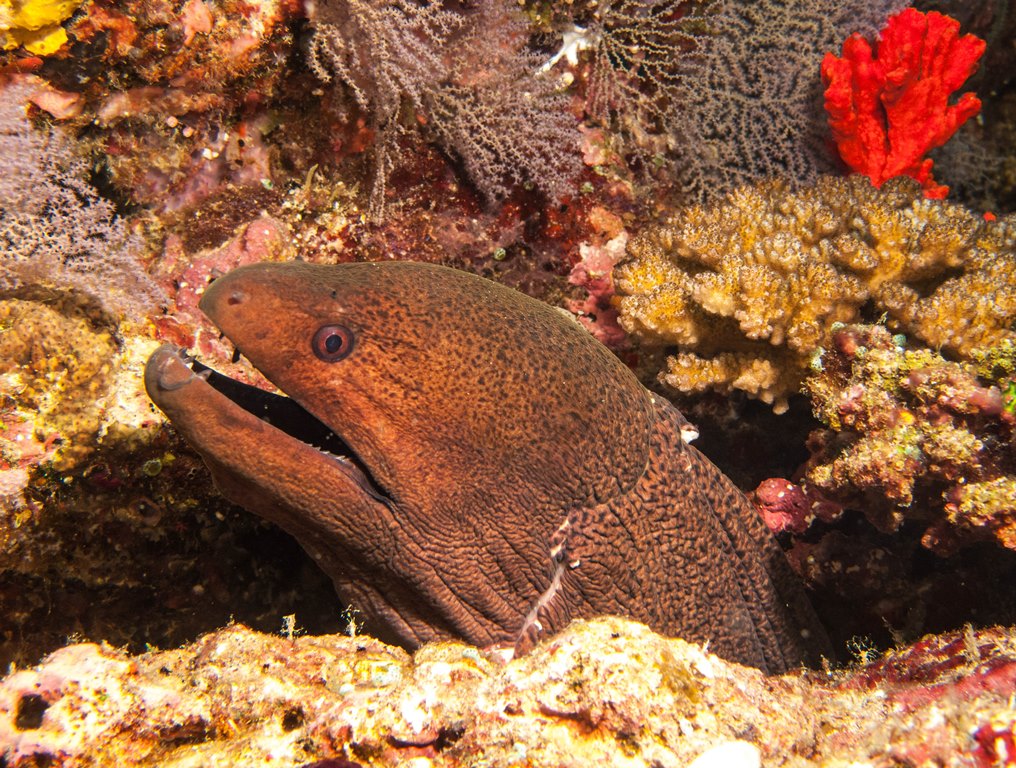 мальдивы 2015 мальдивы 2015