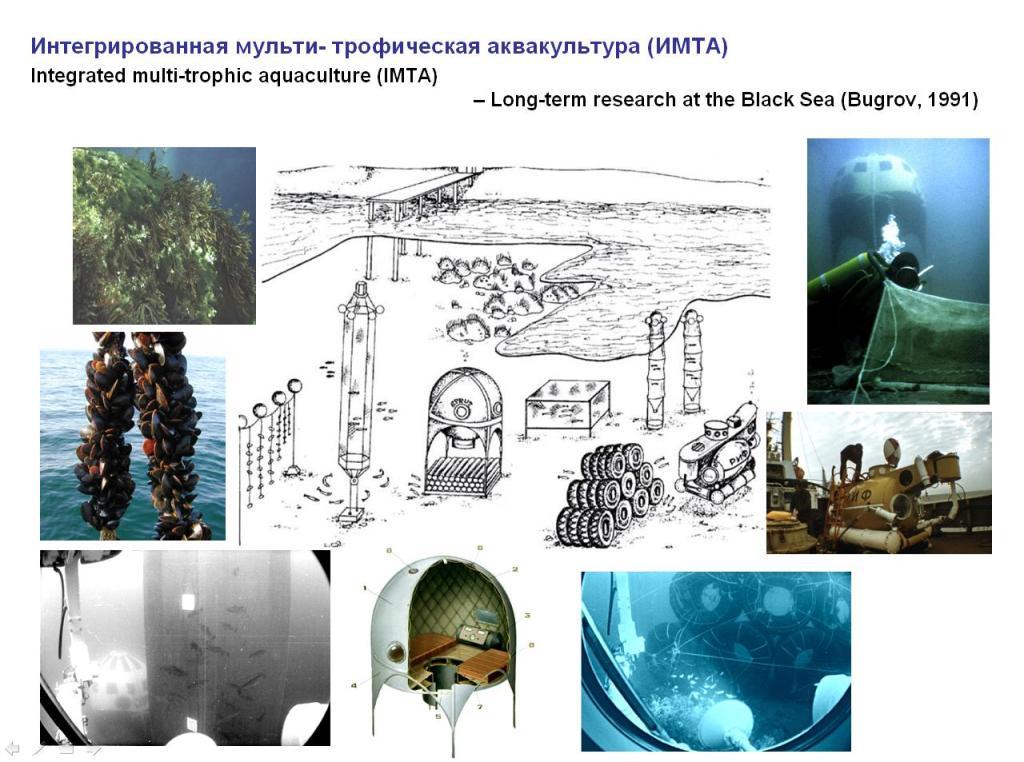 Подводный дом «Спрут» на исследовательском полигоне