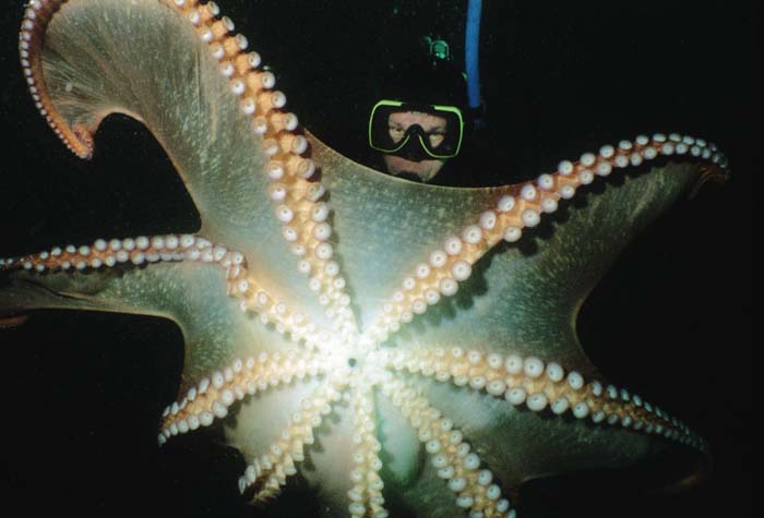 vasilich010 vasilich010