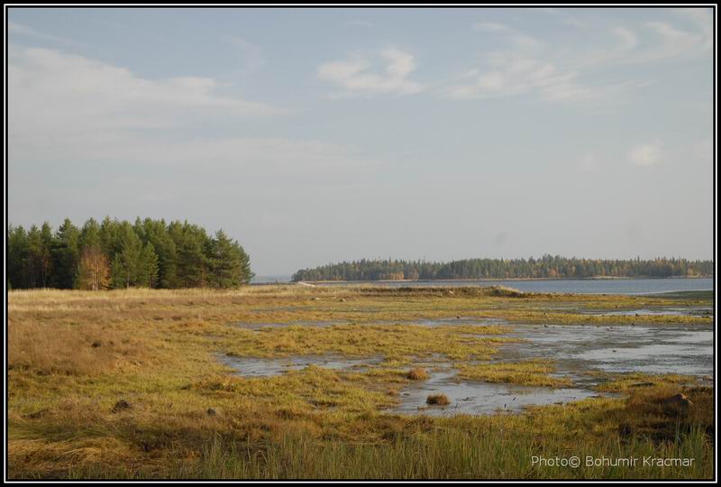 Берег.