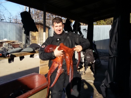 Осьминог Смычка 4 Осьминог Смычка 4