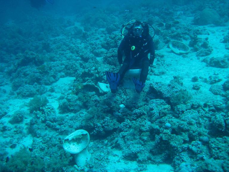 Посидел, подумал... Посидел, подумал...