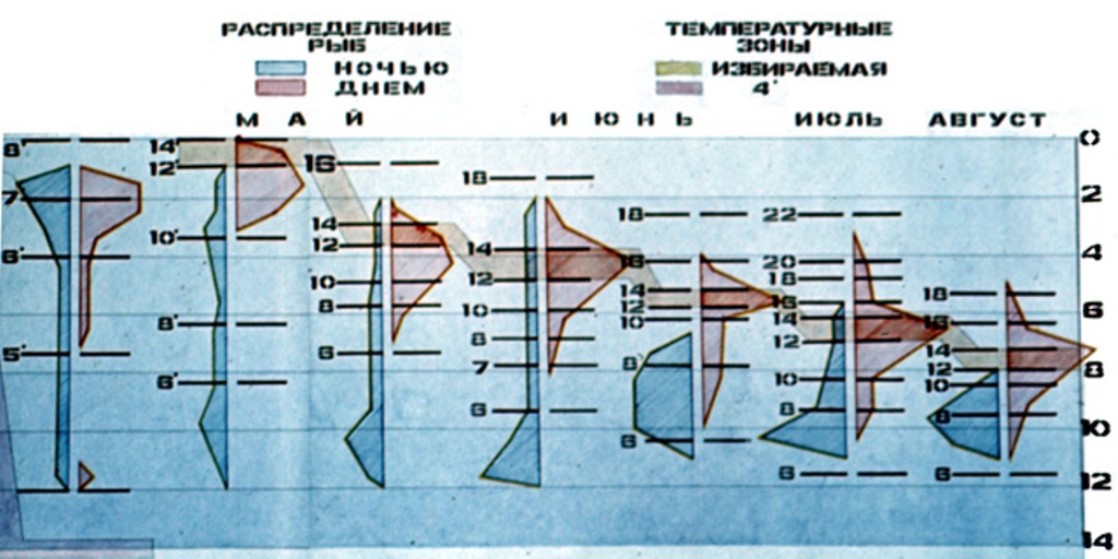 термостратификация на озере