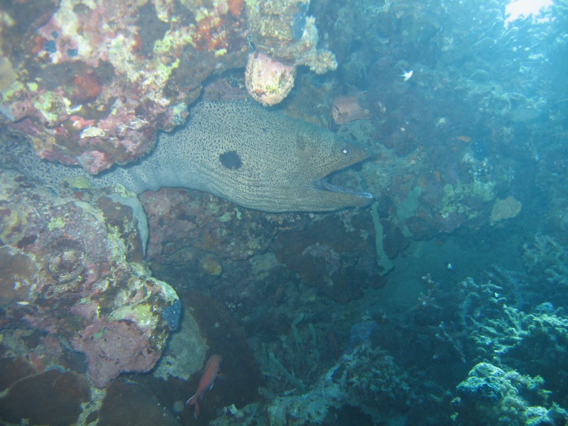 Бухта Наама-Бэй Бухта Наама-Бэй