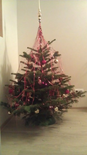 Самая маленькая елочка из всех елочек за 15лет Самая маленькая елочка из всех елочек за 15лет