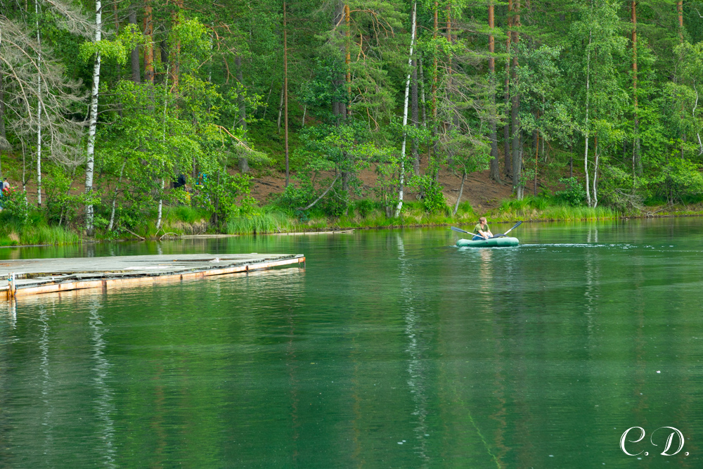 аврора аврора