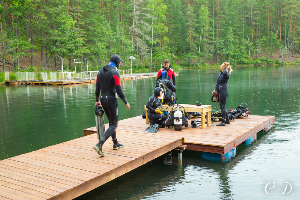 аврора аврора