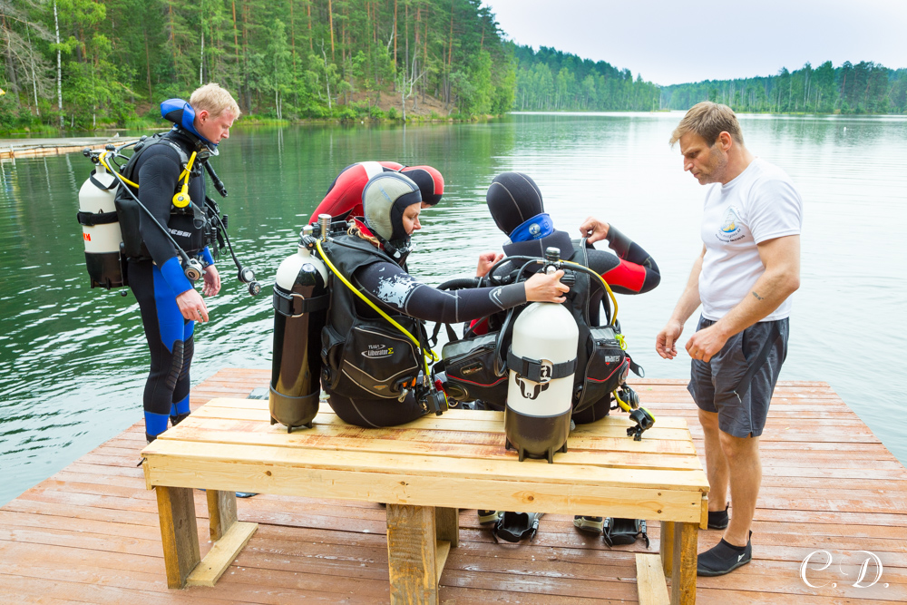 аврора аврора