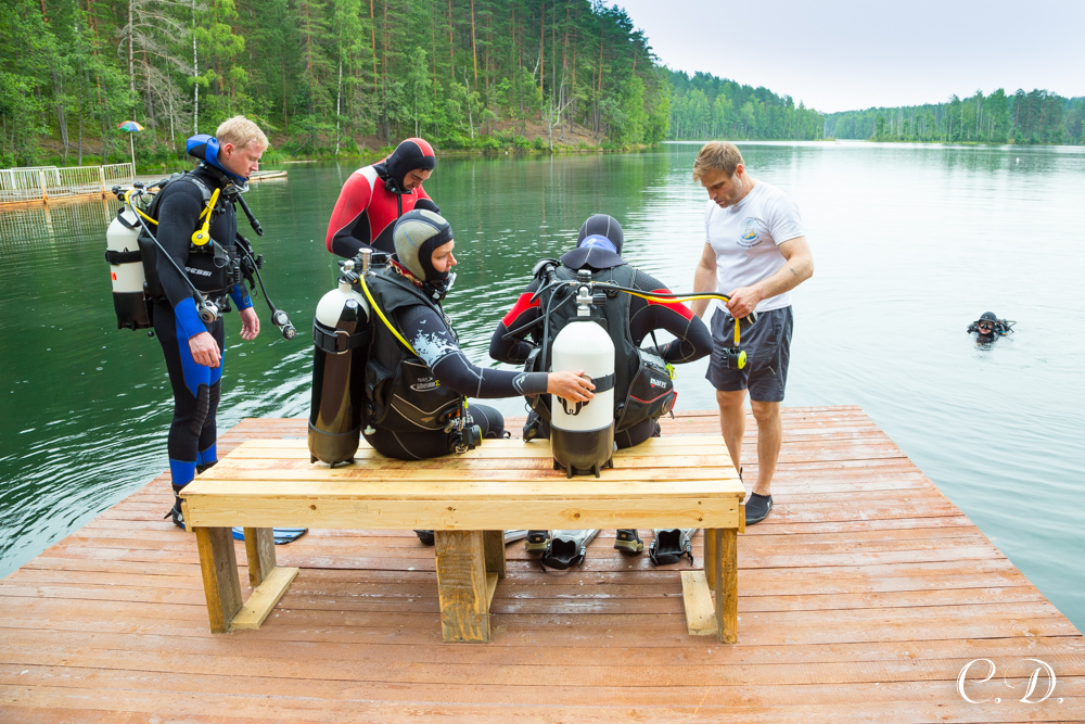 аврора аврора