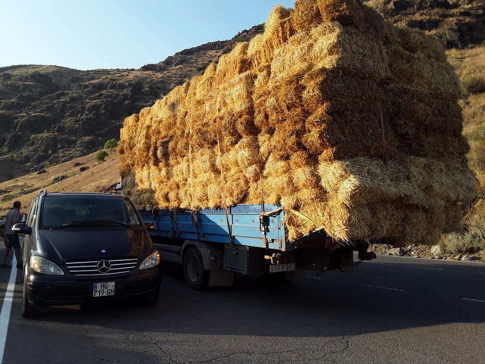 Полиция Грузии Полиция Грузии