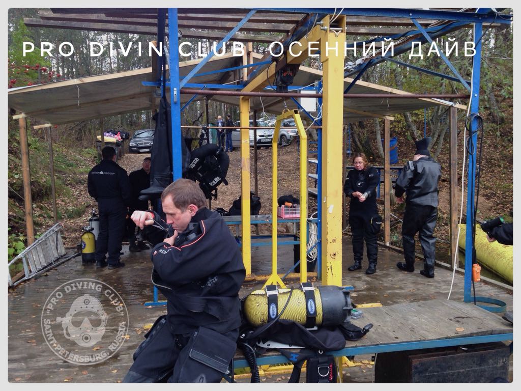 новая база новая база