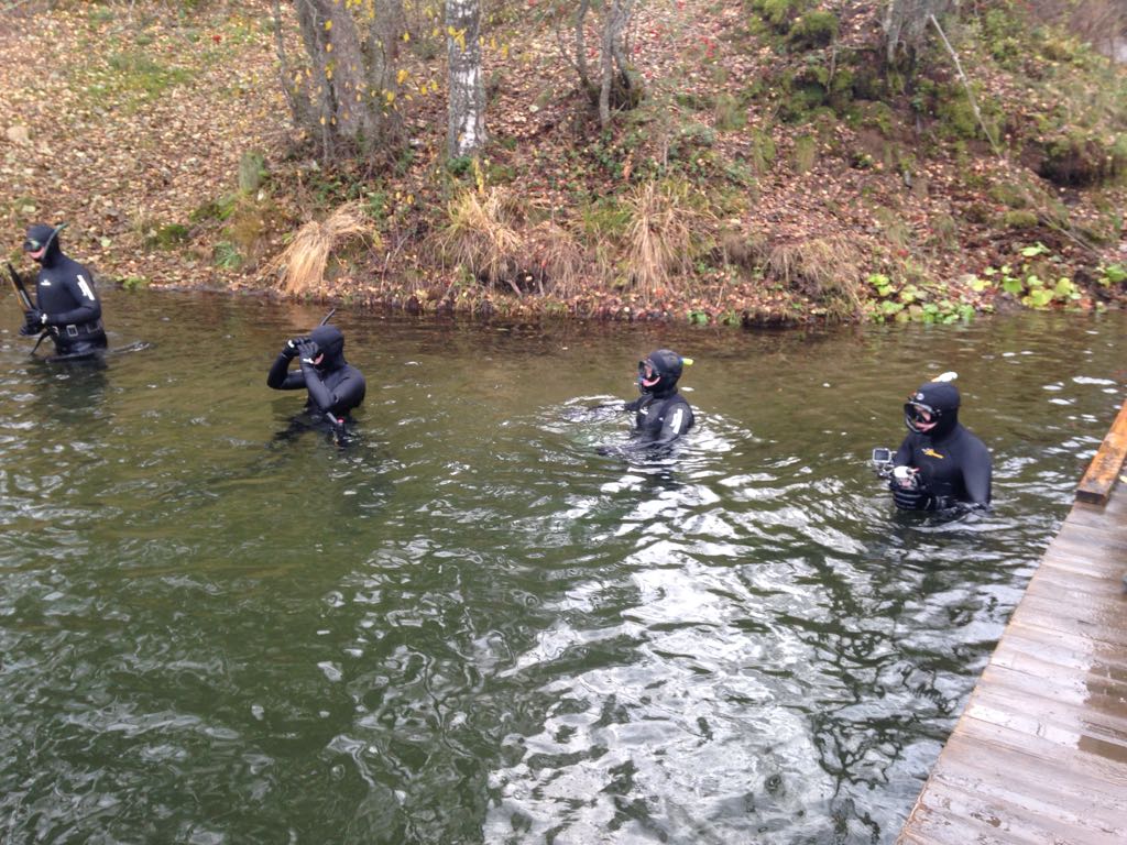 подвохи подвохи