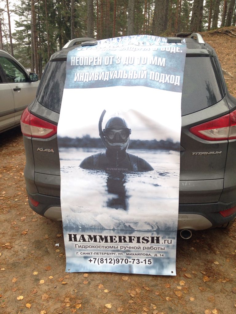 подвохи подвохи