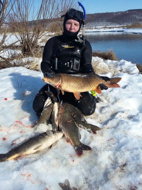 Дмитрий Николаевич Алексеев 2 Дмитрий Николаевич Алексеев 2