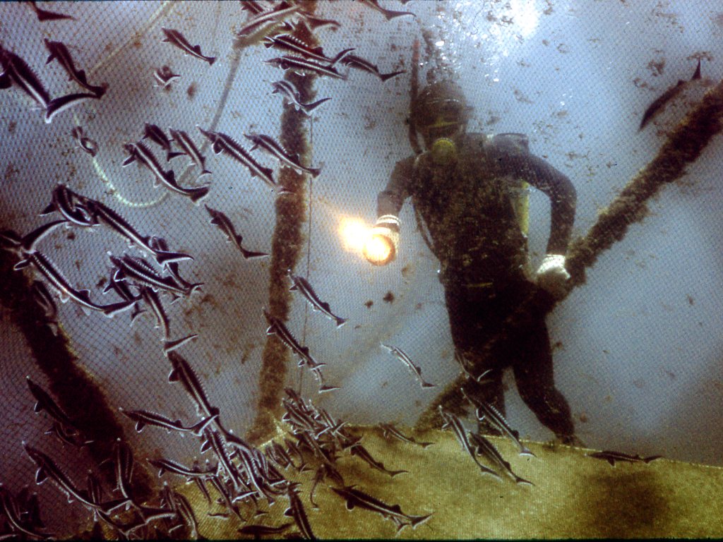 Каспийское море